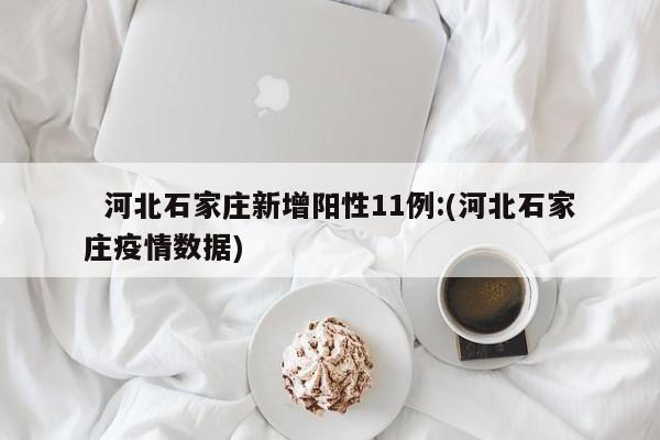   河北石家庄新增阳性11例:(河北石家庄疫情数据)