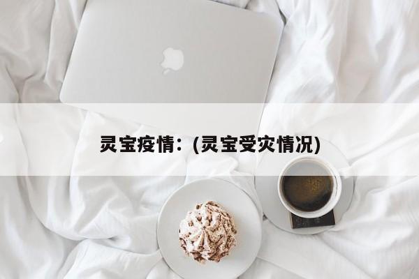 灵宝疫情：(灵宝受灾情况)