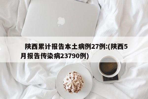   陕西累计报告本土病例27例:(陕西5月报告传染病23790例)